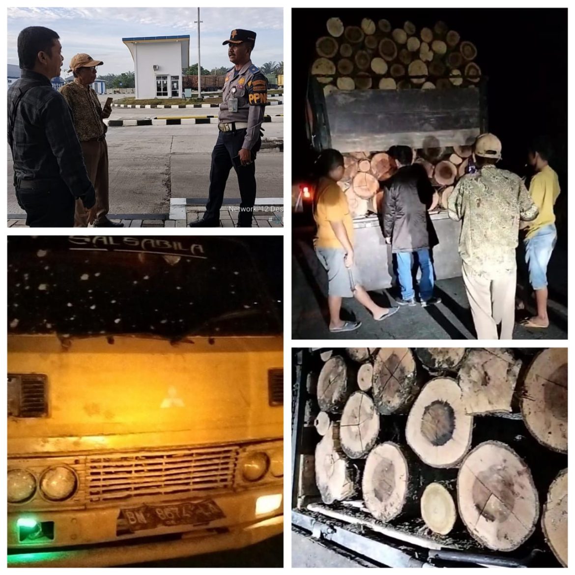 Lemahnya Pengawasan dan Penegakan Hukum Terhadap Dugaan Ilegal Loging di Kabupaten Pelalawan