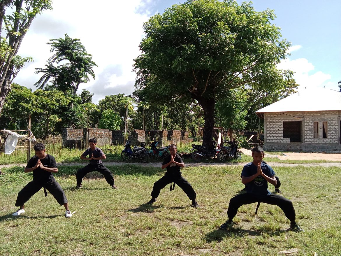 Deklarasi Perguruan Wushu Cahaya Tritunggal Sakti: Membangun Spirit Persaudaraan dan Cinta Tanah Air Indonesia