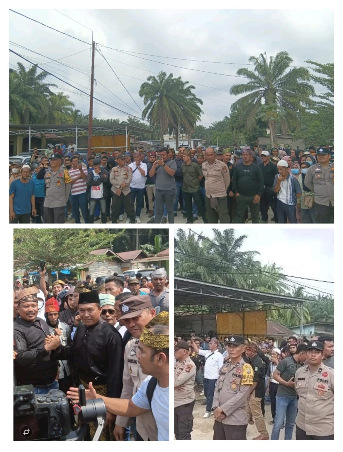 Melayu Rantau Kasai Tolak Dugaan Provokasi PT Agrinas