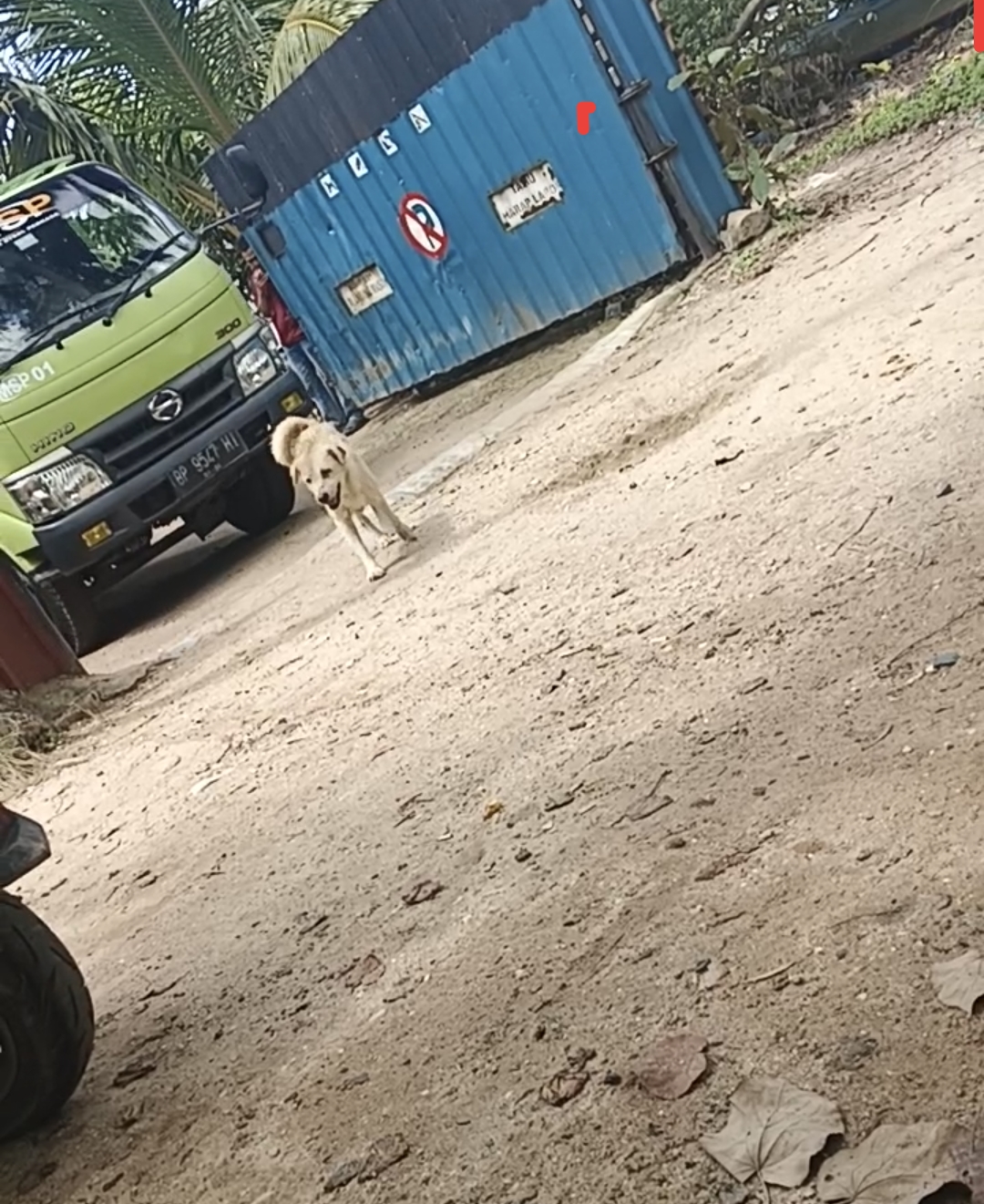 Gudang Siluman…..!!!!! Diduga Jaringan Mafia BBM Solar Ilegal Kuasai Pesisir Kampung Panglong, Batu Besar, Kecamatan Nongsa, Kota Batam