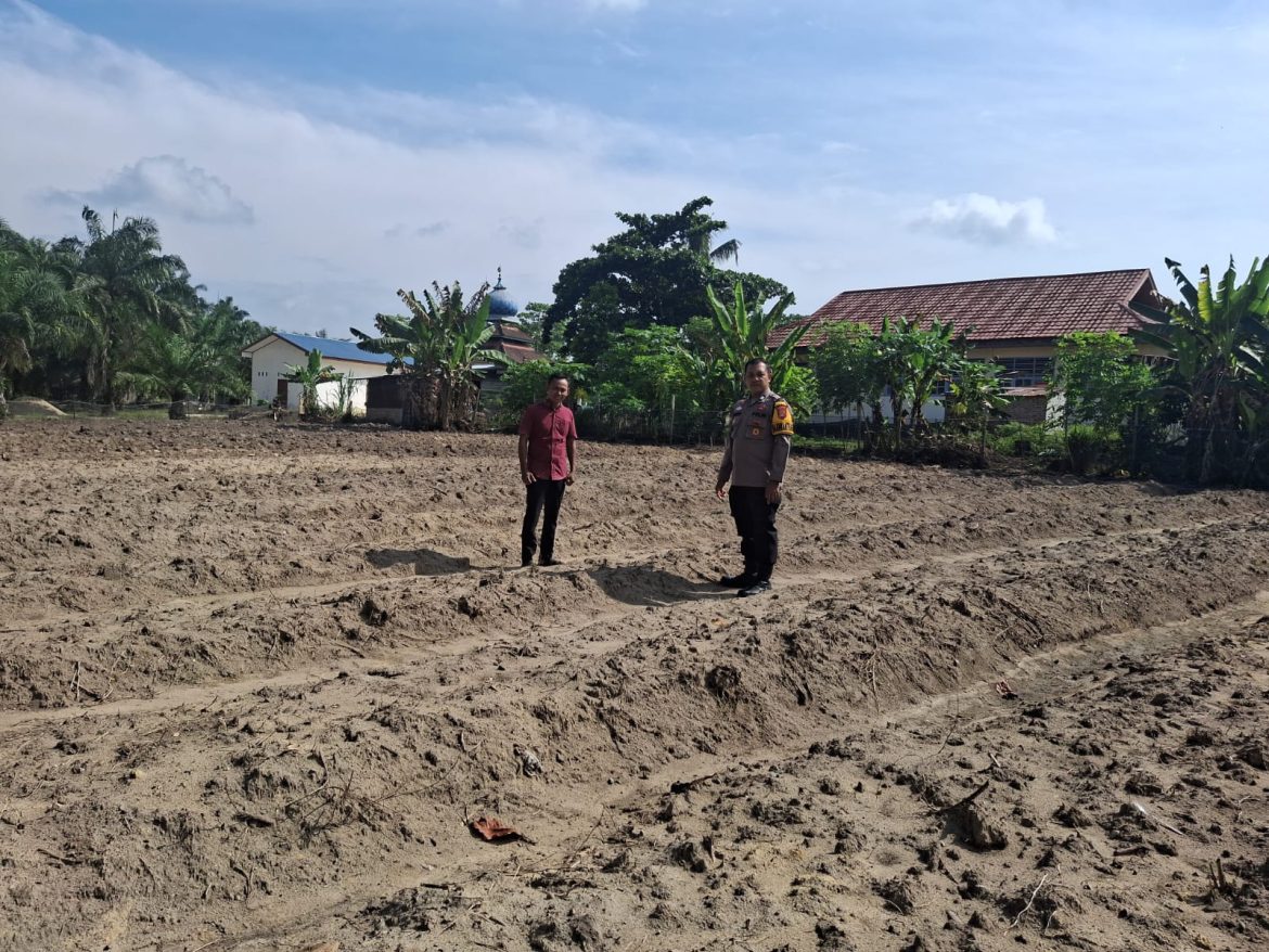Dukung Ketahanan Pangan Nasional, Lahan Fasilitas Desa Kota Bangun Siap Ditanami Jagung Pipil