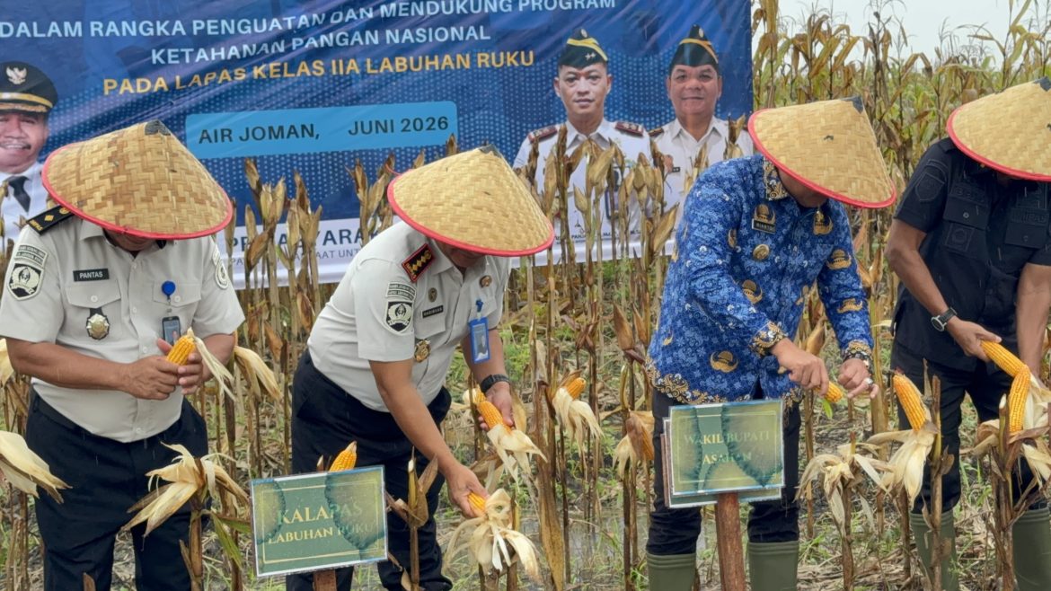 Wabup Asahan Hadiri Panen Raya Jagung di Lapas Minimum Security, Dukung Ketahanan Pangan dan Pembinaan Warga Binaan