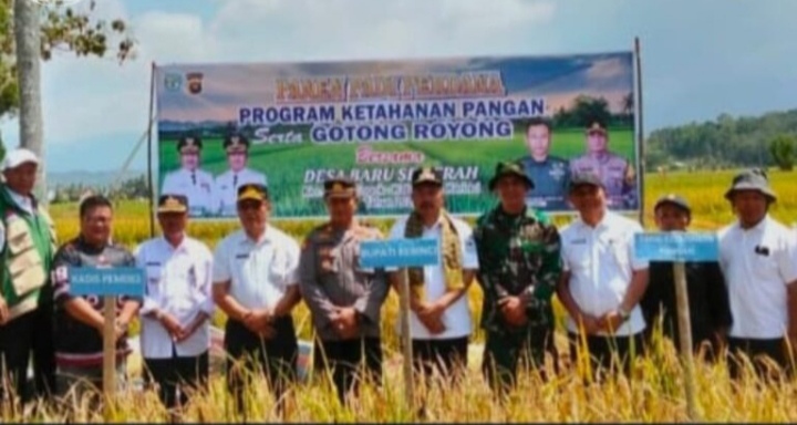 Bupati Monadi Panen Padi Perdana dan Gotong Royong Bersama warga Desa Baru Semerah