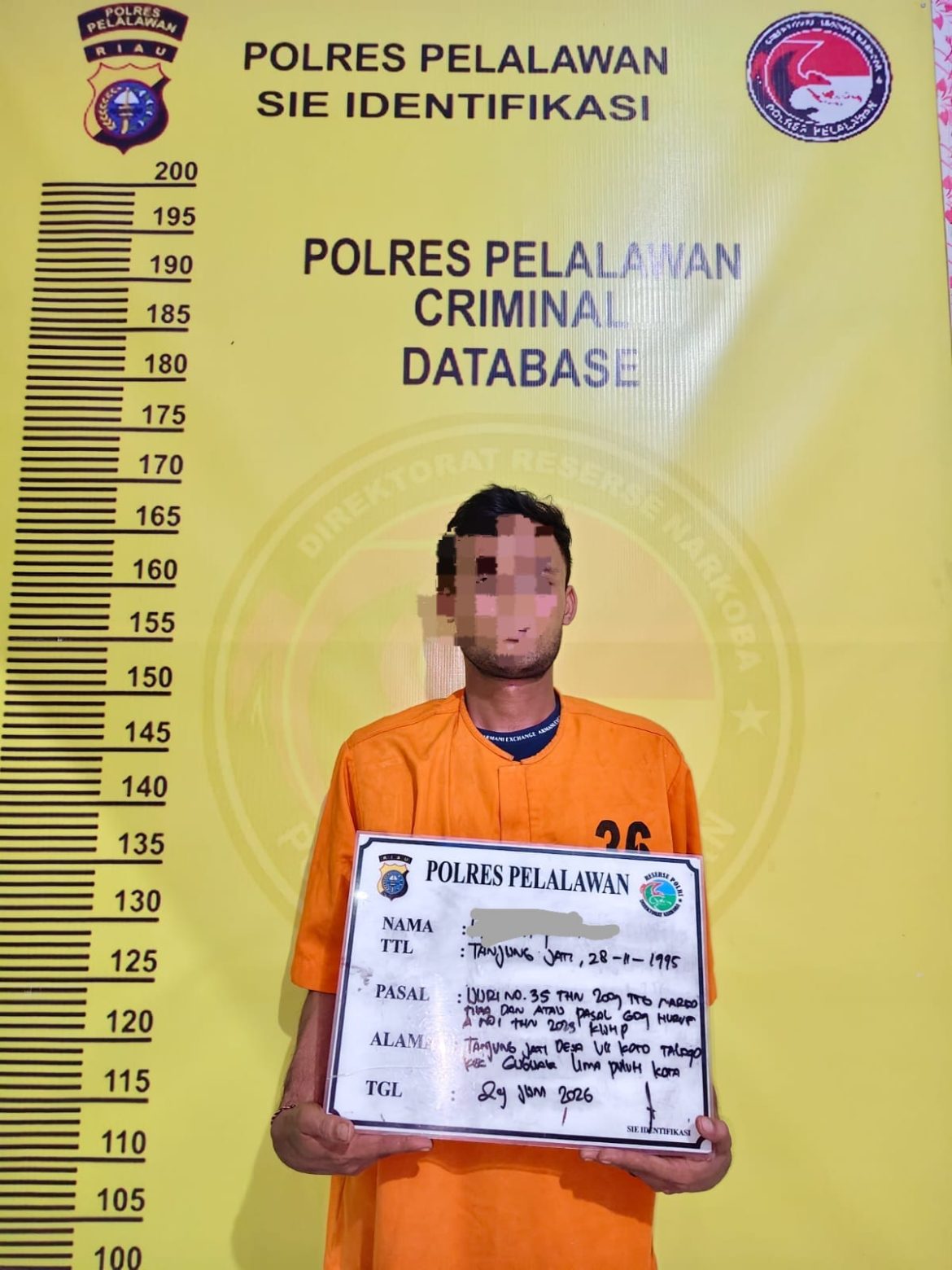 Satresnarkoba Polres Pelalawan Gerebek Rumah di Pkl Kerinci, 58 Paket Ganja Kering Siap Edar Diamankan