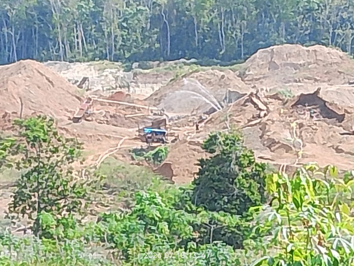 PETI di Way Kanan: Jangan Hanya Tangkap Pekerja, Dimana Solusi Dinas Terkait dan Koperasi Merah Putih?   