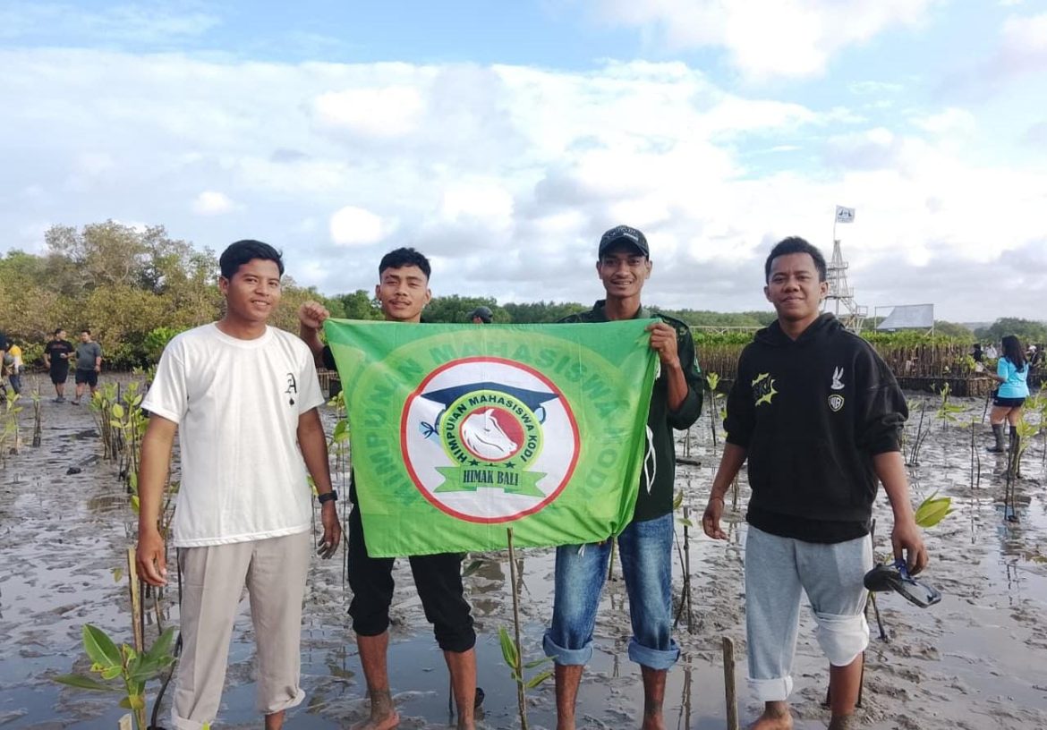Himpunan mahasiswa Kodi Bali Sumba Barat Daya Melaksanakan Kegiatan Penanaman Mangrove Demi Menyelamatkan Abrasi Pantai