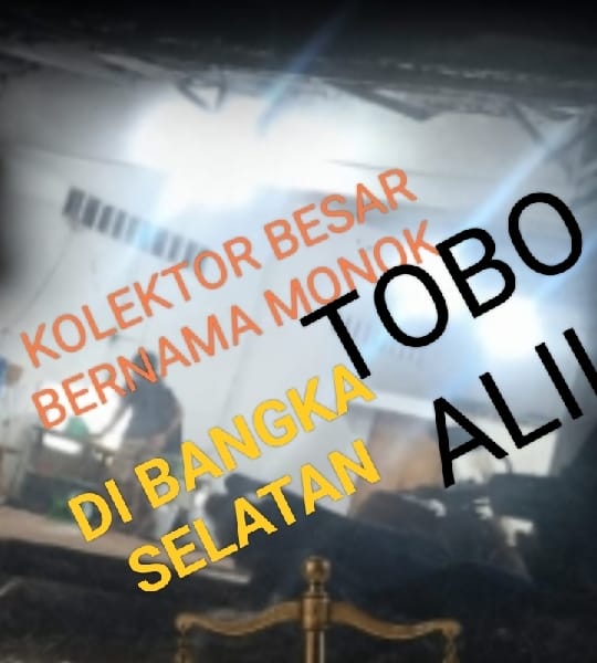 Kolektor Timah Ilegal Diduga Kebal Hukum Nama Monok , Dan APH Disorot Tajam