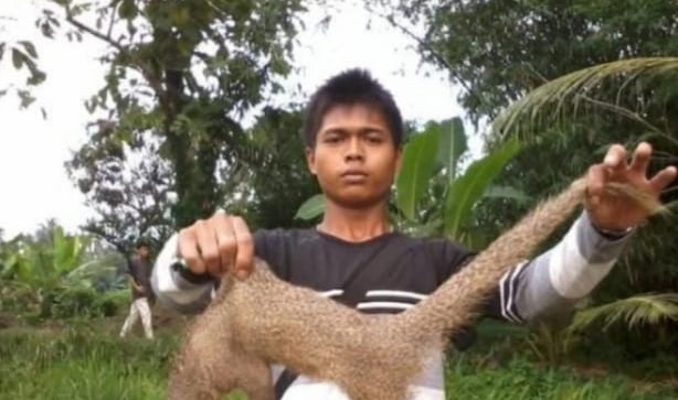 Keluarga Pertanyakan Kematian Mendadak Tahanan Rutan Tanjung Gusta di RS Bhayangkara 