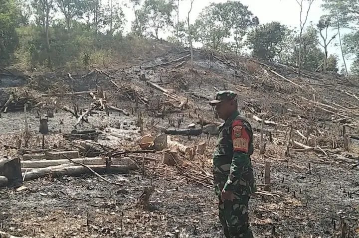 Karhutla di Kampung Mulya Jaya! Lahan 1,5 Hektare Bekas Kebun Karet Terbakar Babinsa & Warga Sigap Padamkan!