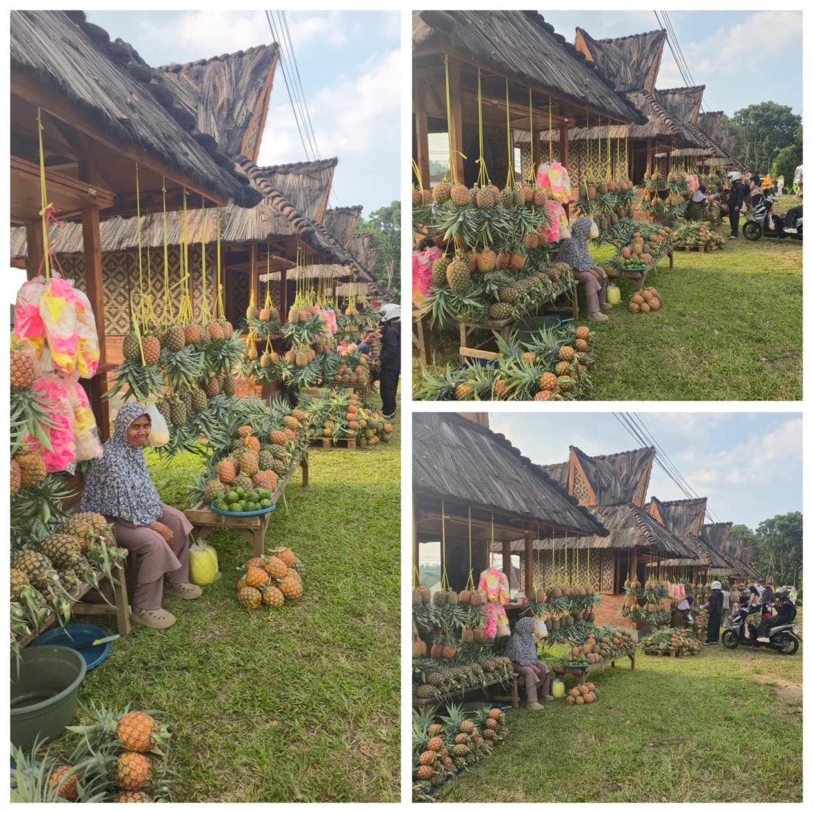 Jongko Pedagang Nanas Palasari Dua Cisaat Subang Jawa Barat, Kini Lebih Rapi, Kios Kayu-Bambu dan atap ijuk Hadirkan Wajah Baru