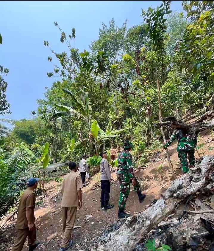 Polsek JARAI Koramil JARAI Patroli Karhutla Bagi Oknum Masyarakat Terdapat Bakar Hutan Diancam 10 Tahun Penjara