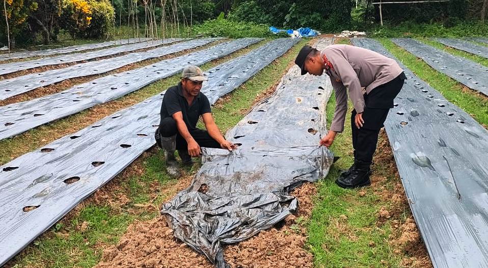 Sebagai Bentuk Dukungan Program Ketahanan Pangan, Polsek Pantee Bidari Ajak Warga Manfaatkan Lahan Tidur