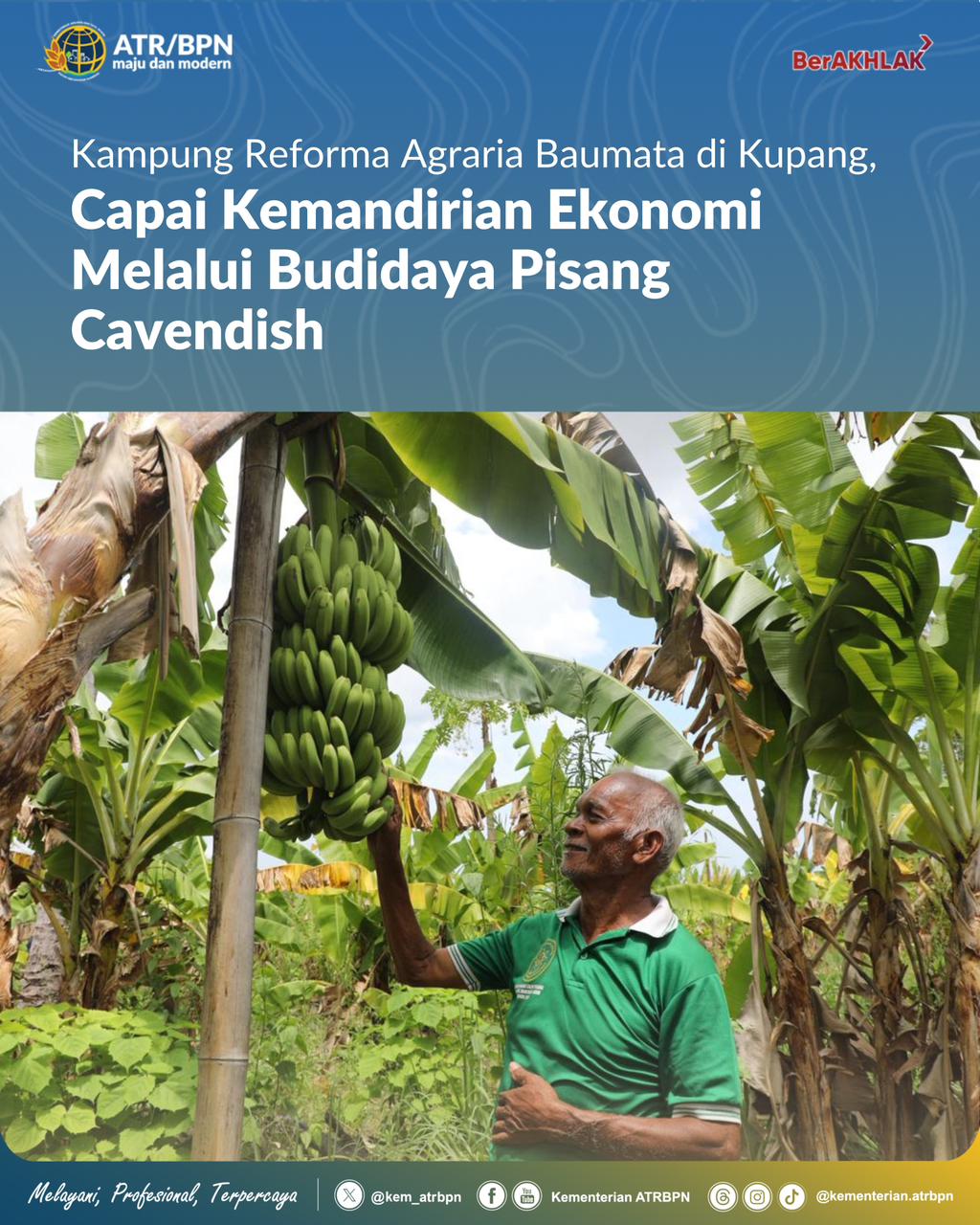 Kampung Reforma Agraria Baumata di Kupang, Capai Kemandirian Ekonomi Melalui Budidaya Pisang Cavendish