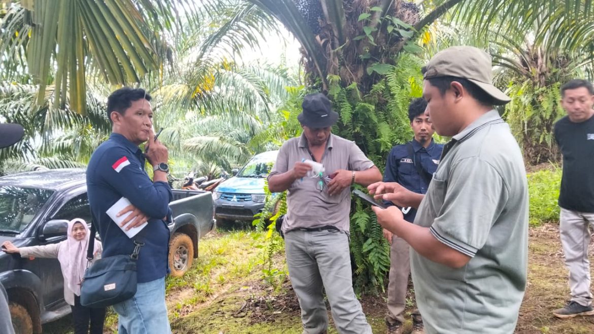Tanam Sawit di Sepadan Sungai, PT. Arvena Terancam Denda 10 Miliar