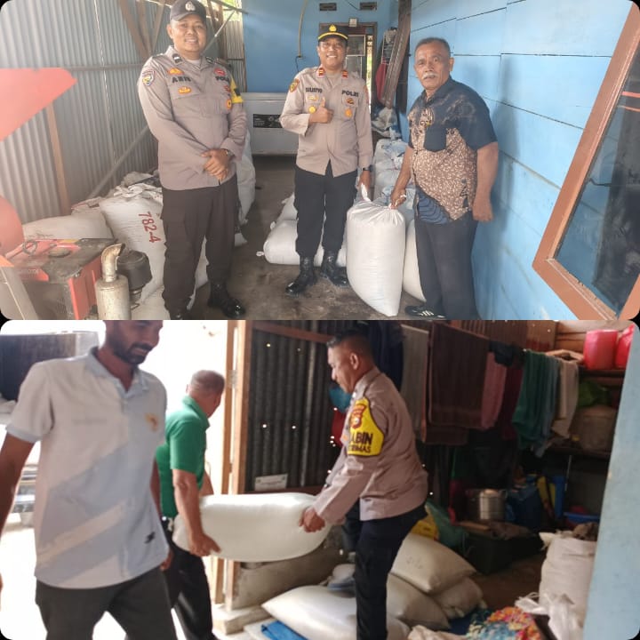 Polres Kampar Dampingi Petani, 2,1 Ton Jagung Pipil Kelompok Tani Berkarya Diserap Bulog
