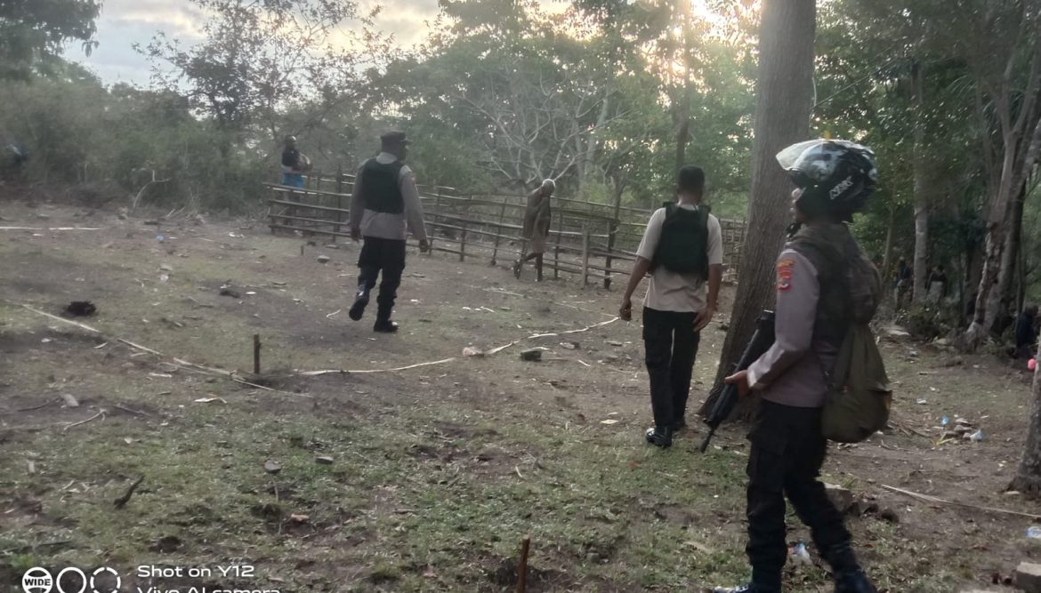 Membongkar Fakta di Balik Isu Sabung Ayam di Amanatun Utara, Verifikasi Lapangan Menjadi Jawaban atas Simpang Siur Informasi