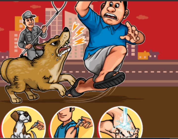 Sosialisasi Bahaya Rabies Gigitan Anjing Pemilik Peliharaan Dapat Dikenakan Sangsi Hukum